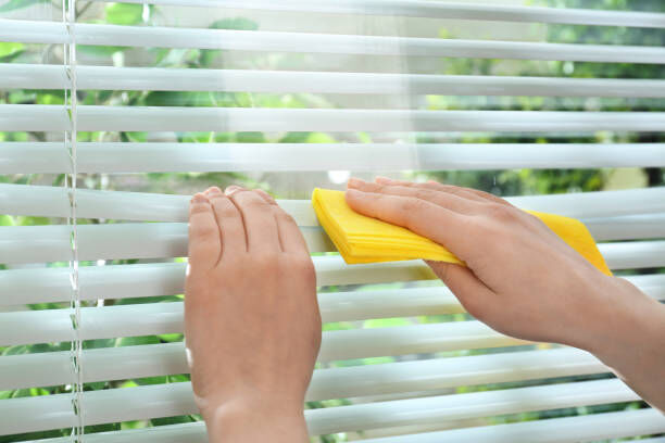 Blinds Custom Design Consultation