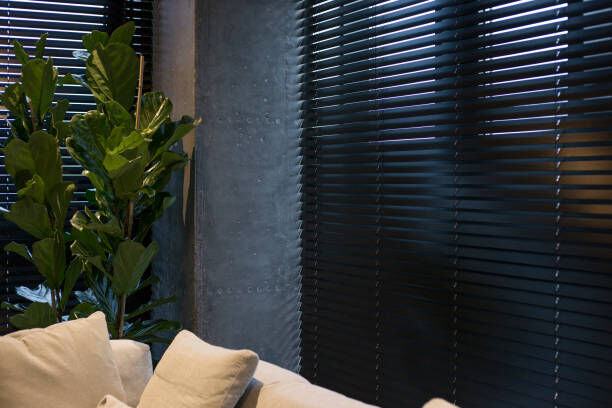 blinds maintenance